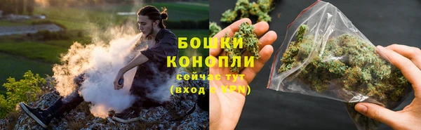 шишки Наволоки