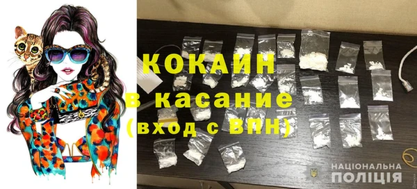 шишки Наволоки