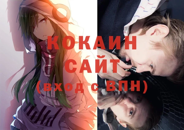 шишки Наволоки