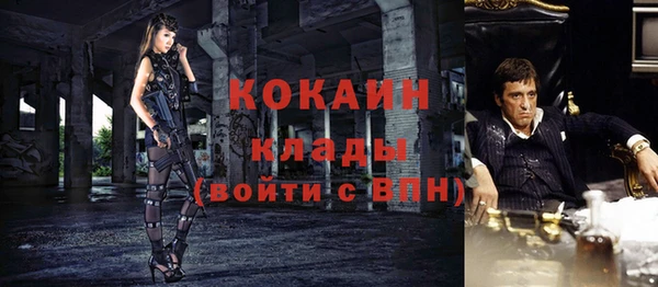 шишки Наволоки